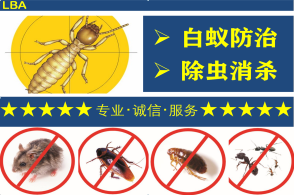專業消殺除蟲除蟻 為您打造無蟲害的舒適家園